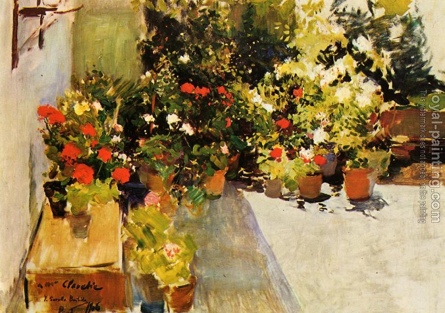 Joaquin Sorolla Y Bastida : A Rooftop with Flowers